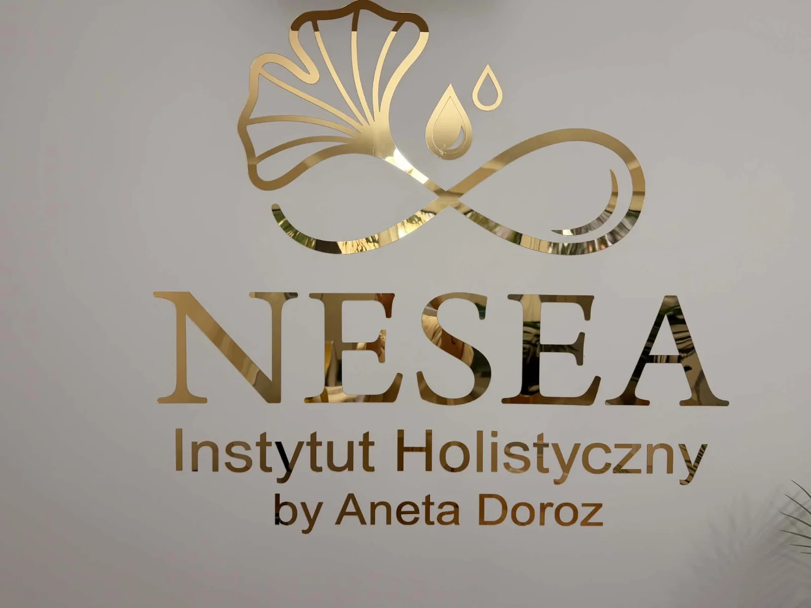 Złote logo NESEA na ścianie Instytutu